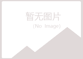 黑龙江冰夏采矿有限公司